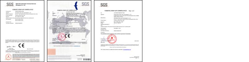 Raycus C1500 CW Fiber Laser SGS Verification of Compliance.pdf